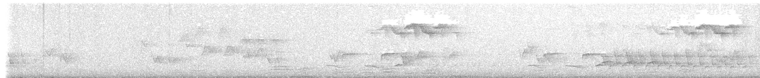 Bay-breasted Warbler - ML635946781