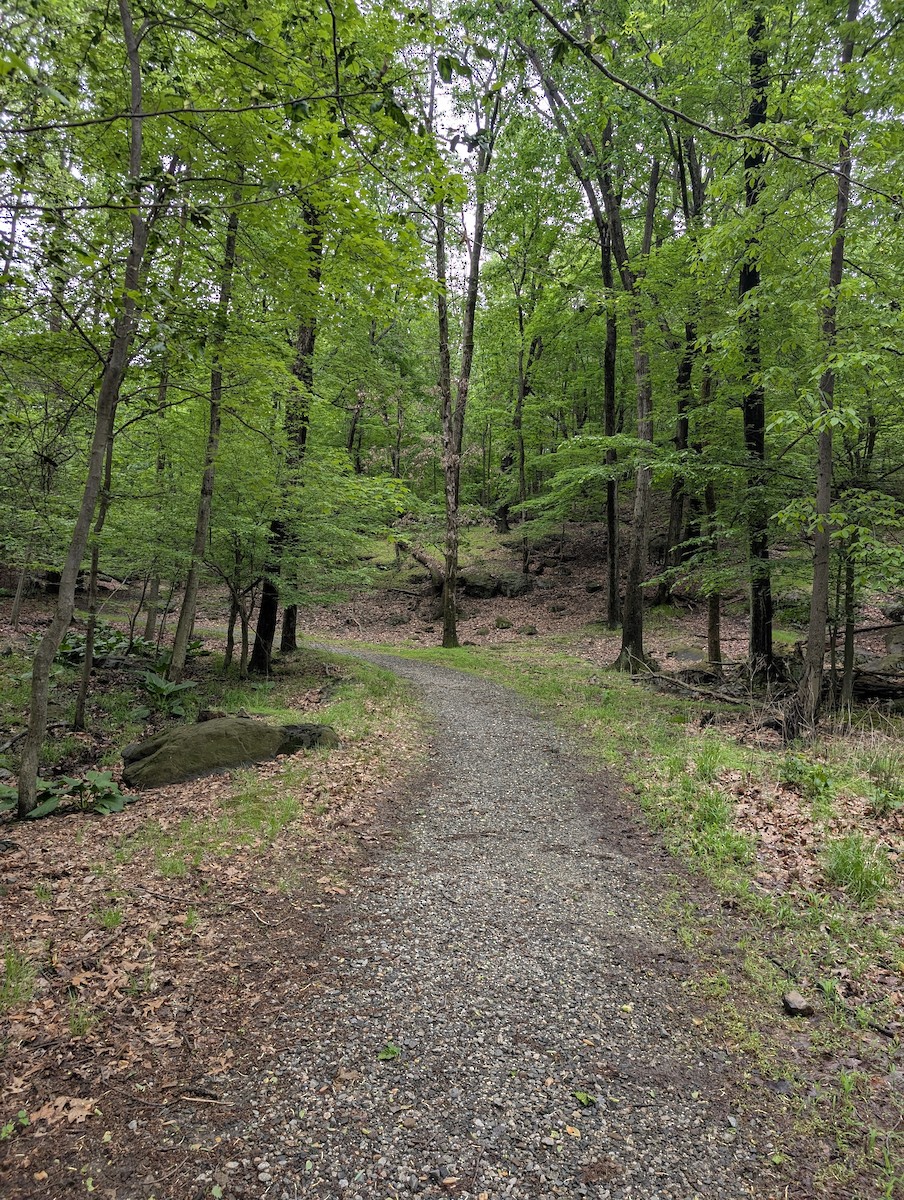 null - ML635946989