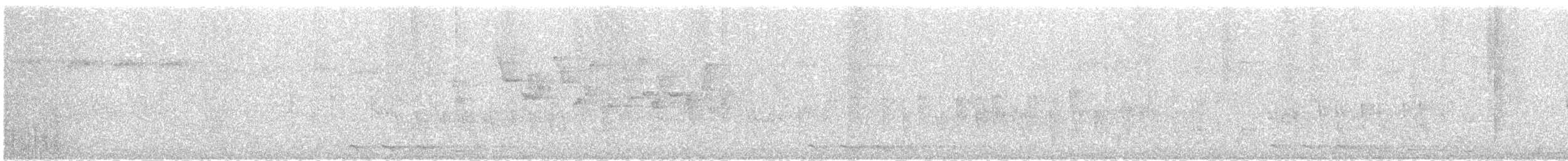 Common Newtonia - ML635948606