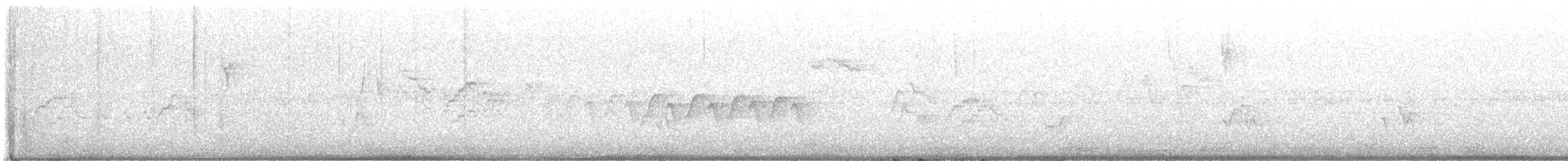 Bicknell's Thrush - ML635948887