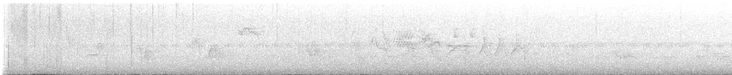 Bicknell's Thrush - ML635948888