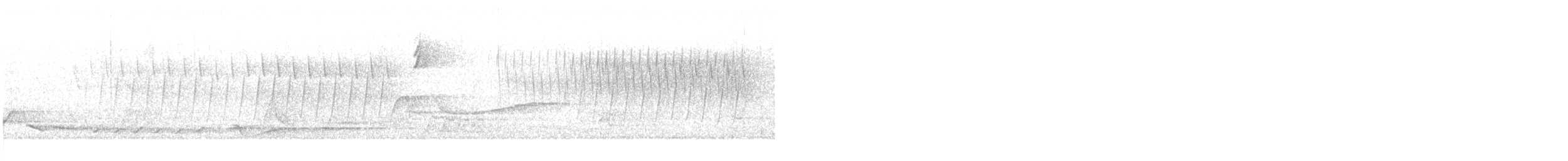 Chipping Sparrow - ML635949269