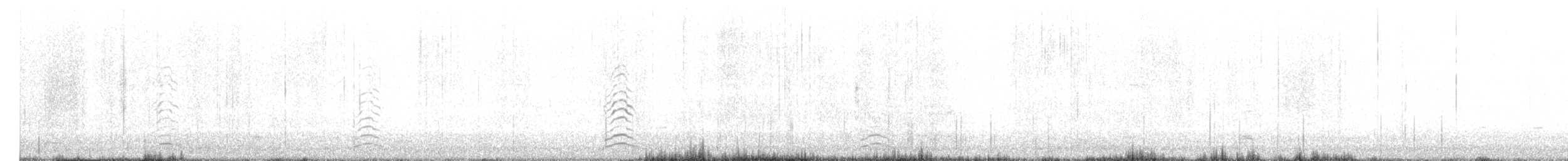 Snow Goose - ML635952810