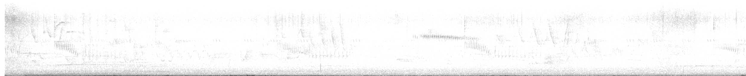 Broad-tailed Hummingbird - ML635954094