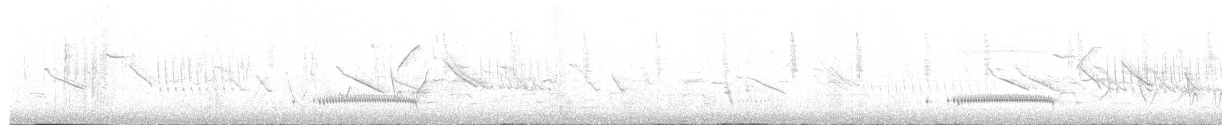 Junin Antpitta - ML635954426