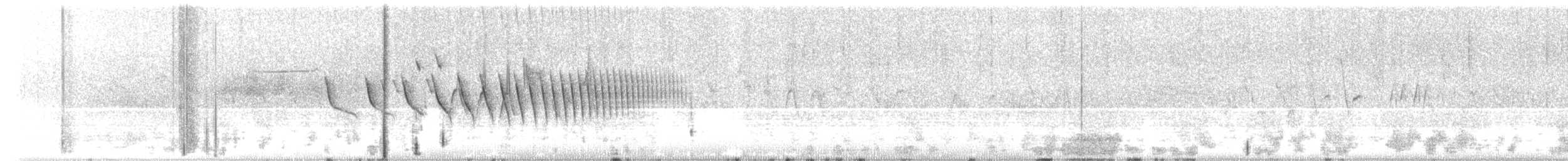 Black-chinned Sparrow - ML635954644