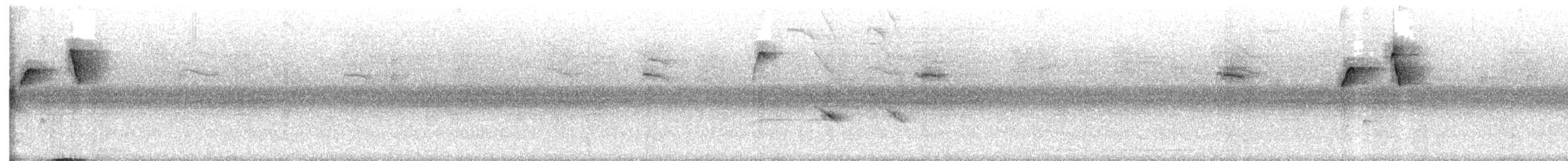 Russet Antshrike - ML635956046