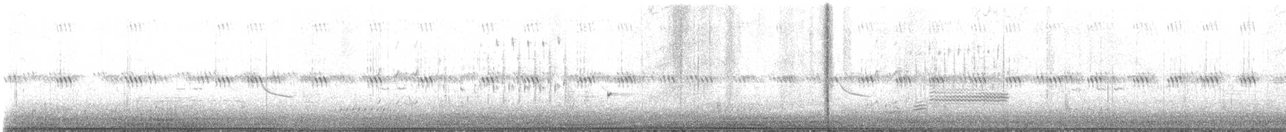 Clapper Rail - ML635956369