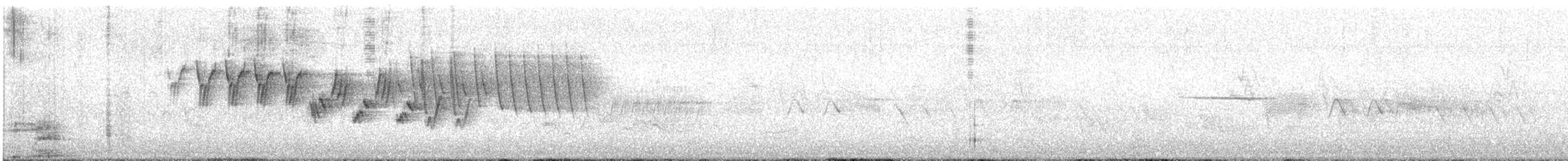 MacGillivray's Warbler - ML635956474