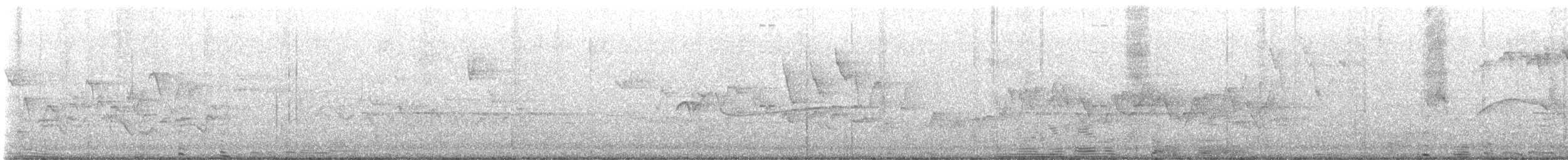 Bay-breasted Warbler - ML635956648