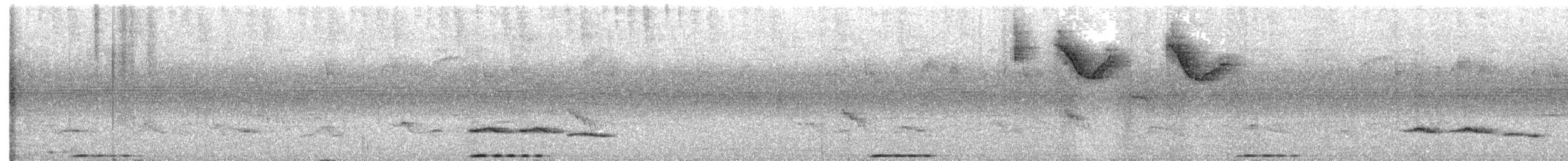 Rufous Motmot - ML635957052