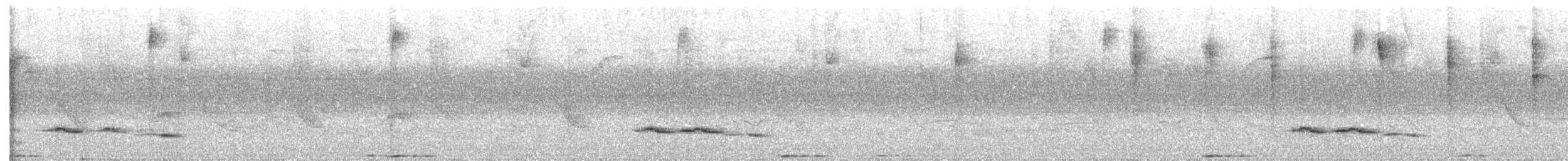 Rufous Motmot - ML635957053