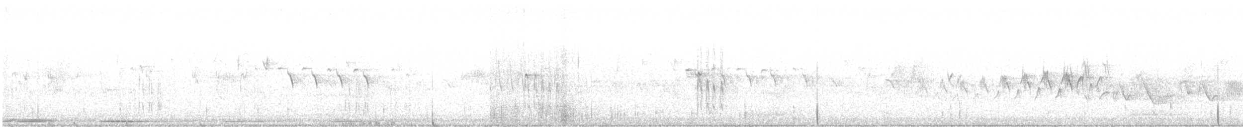 Weißkopfspecht - ML635958172