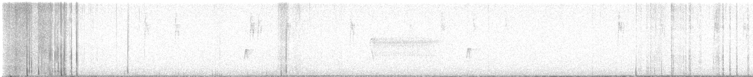 Tannenschnäppertyrann - ML635958219
