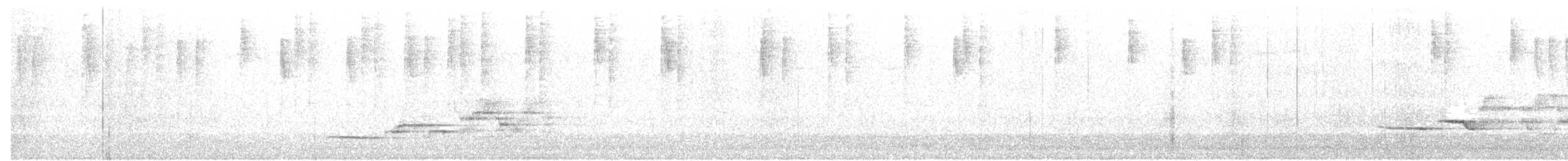 Дрізд-короткодзьоб плямистоволий - ML63596181