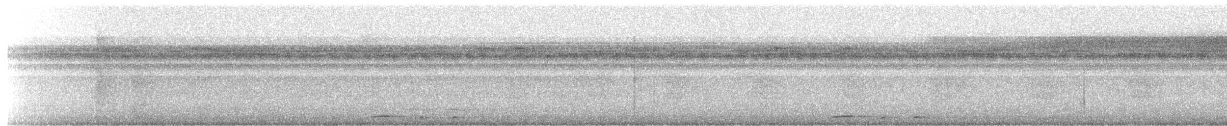 Dusky Pigeon - ML635962424