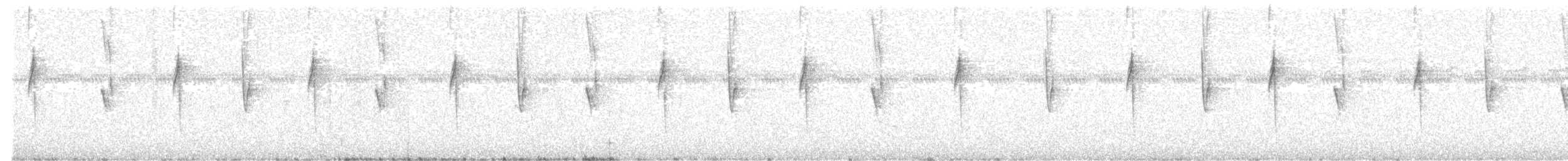 White-vented Violetear - ML635964663