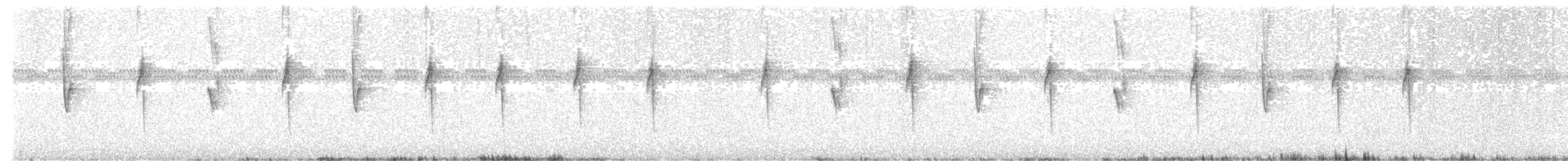 White-vented Violetear - ML635964803