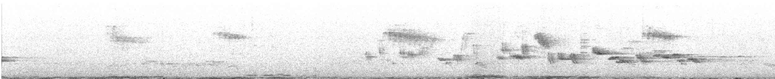 Zozo arrunta - ML635966160