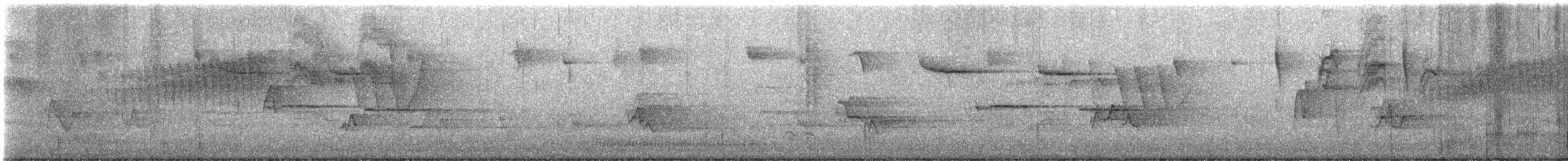 Yellow Warbler (Northern) - ML635966521