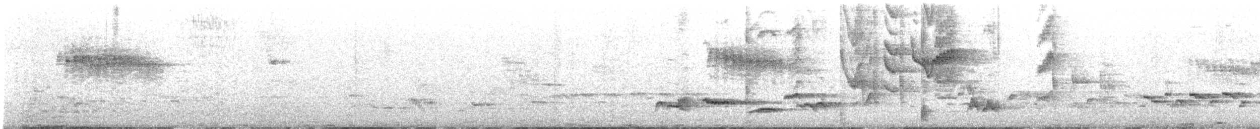 Txirriskila arrunta - ML635966680