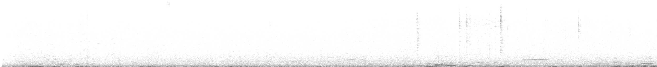 Apo-hontz arrunta - ML635968910