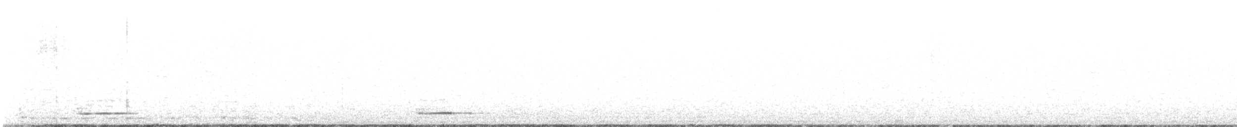 Apo-hontz arrunta - ML635969040