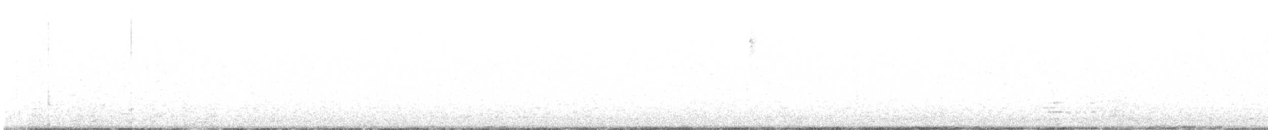 Apo-hontz arrunta - ML635969194