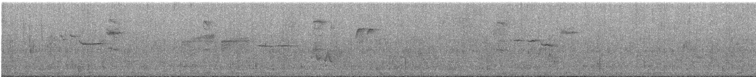 Black-throated Green Warbler - ML635976913