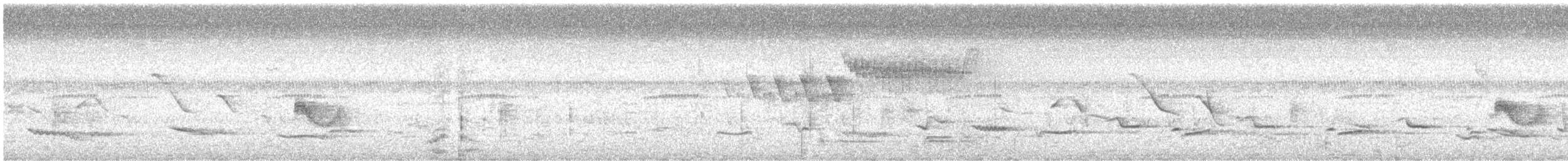Greenish Elaenia - ML635978981