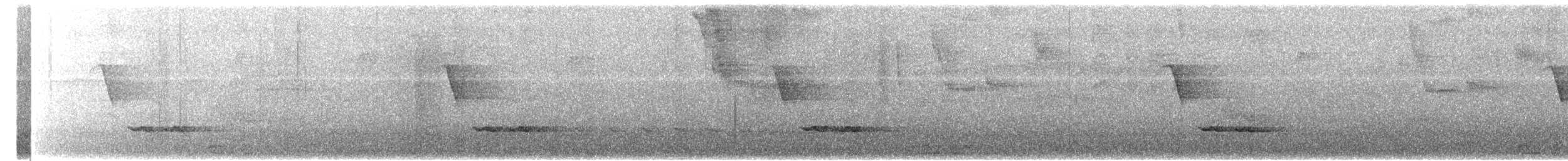 White-breasted Wood-Wren - ML635979211