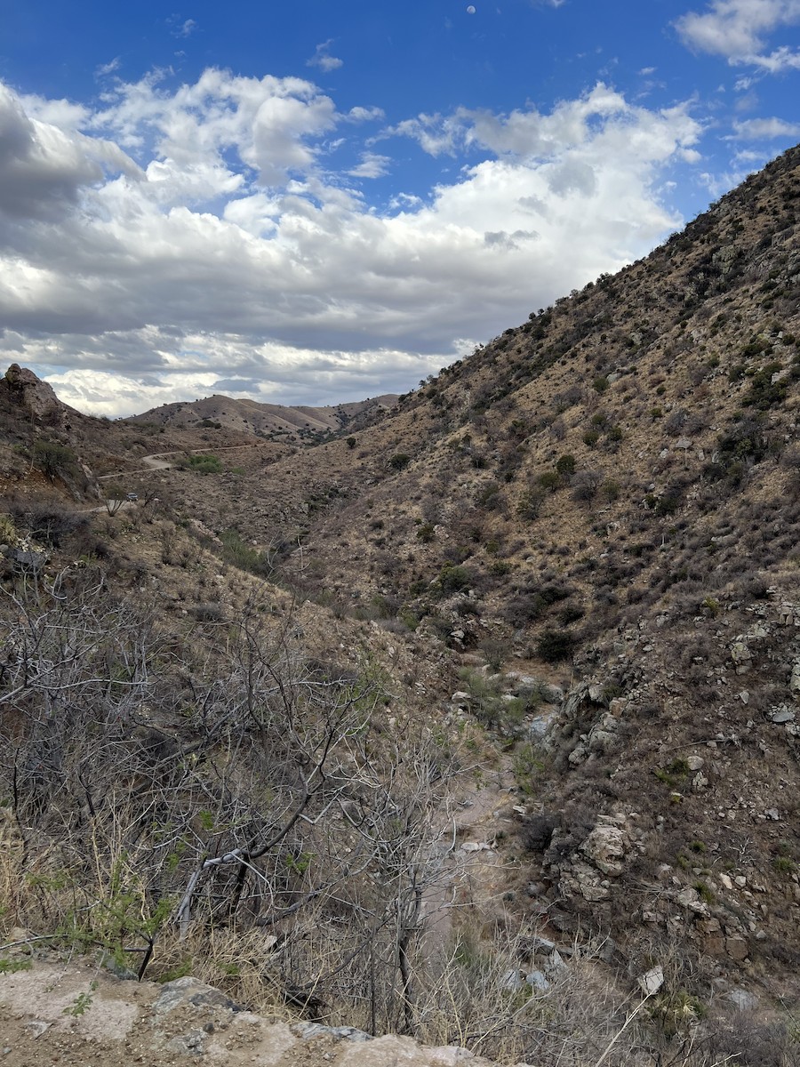 null - ML635979662