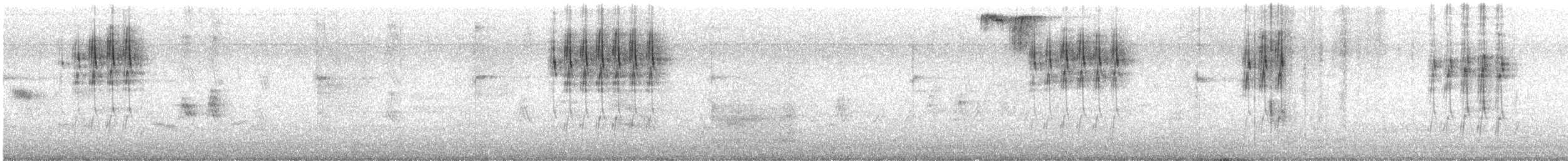 House Finch - ML635979854