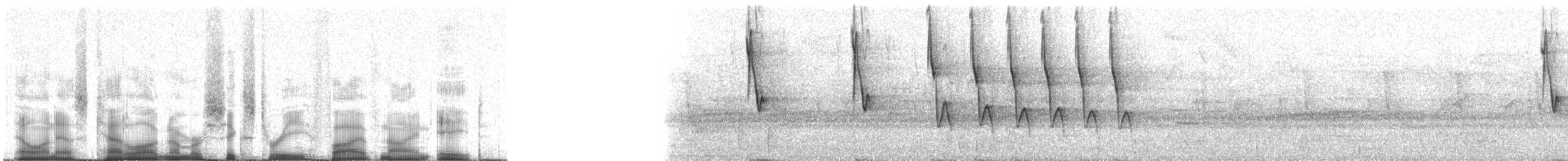 Weißbart-Buschammer (meridae) - ML63598