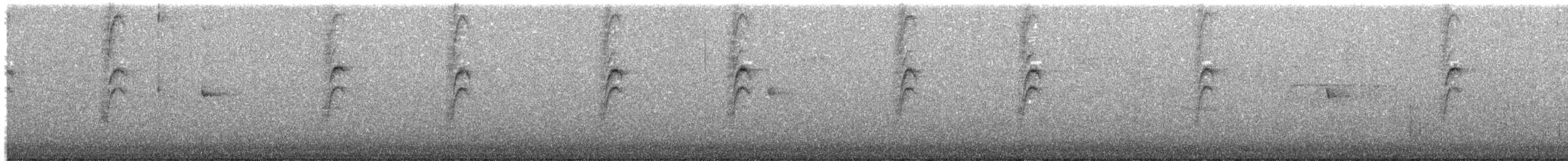 Bewick's Wren - ML635981439