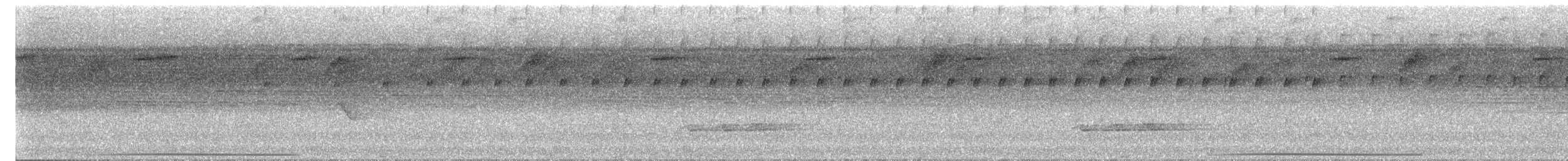 Black-faced Antthrush - ML635983556