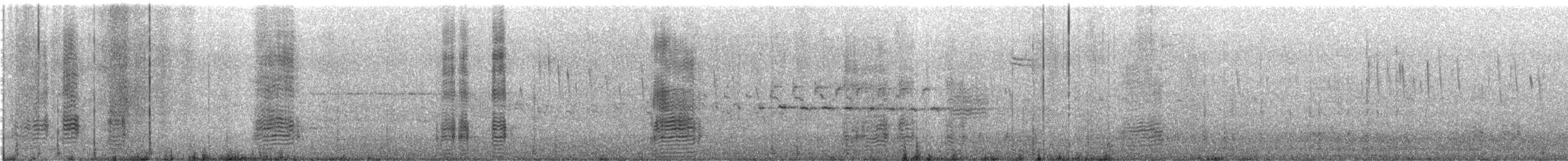 Stockente - ML635985793