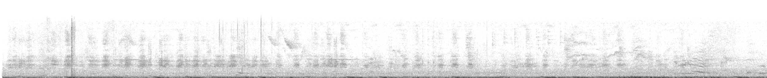 Stockente - ML635986726