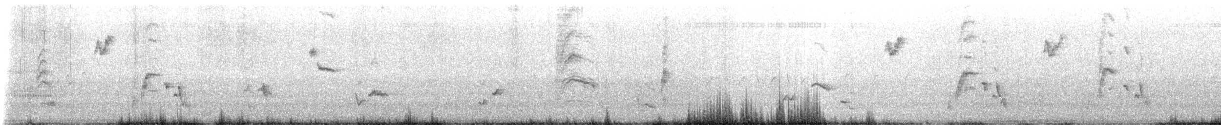 Katzenspottdrossel - ML635987050