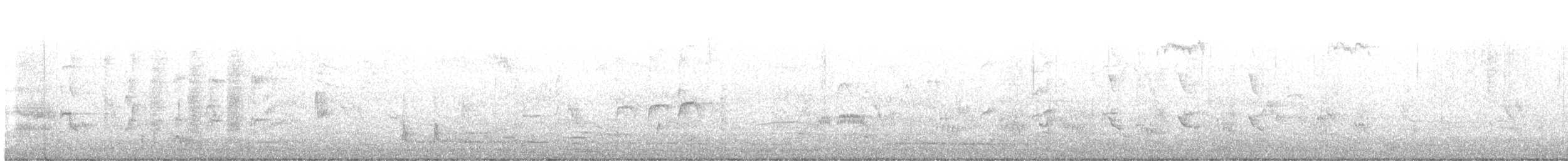 Pied Cormorant - ML635987221