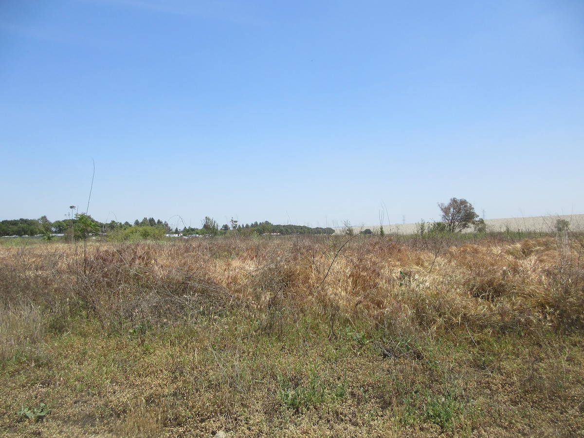 null - ML635987431