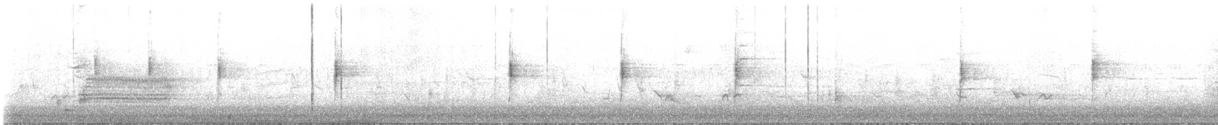 Northern Waterthrush - ML635987600