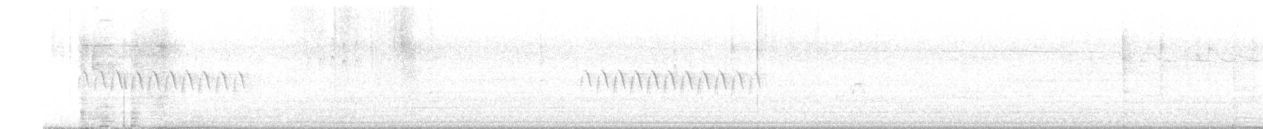 ユキヒメドリ（caniceps） - ML635987847