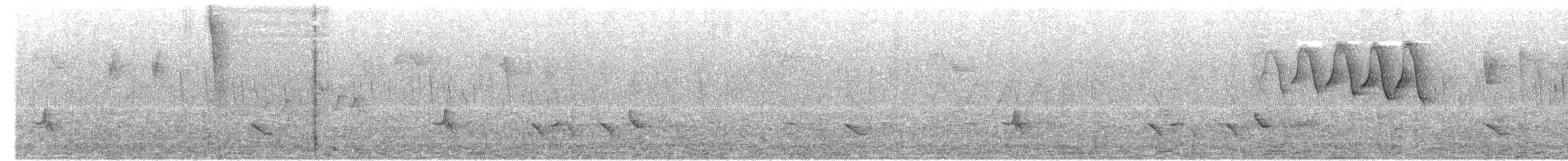 American Redstart - ML635988817