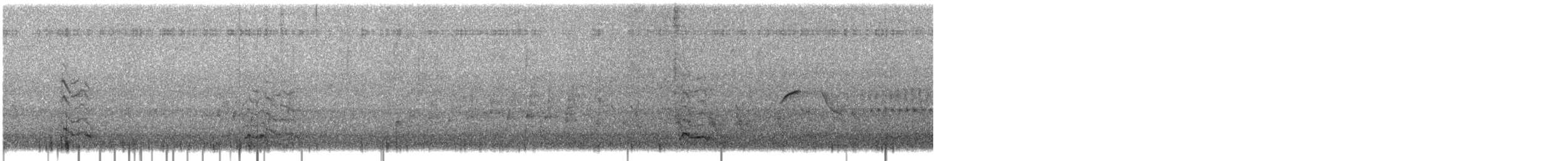 Antxeta mokogorri amerikarra - ML635990060
