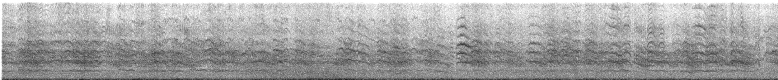 South American Tern - ML635992659