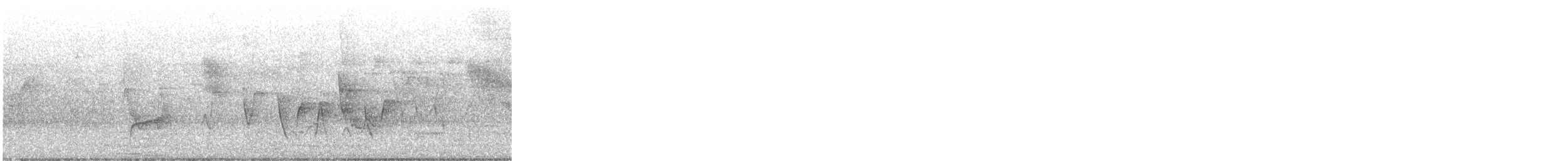 Connecticut Warbler - ML635993935