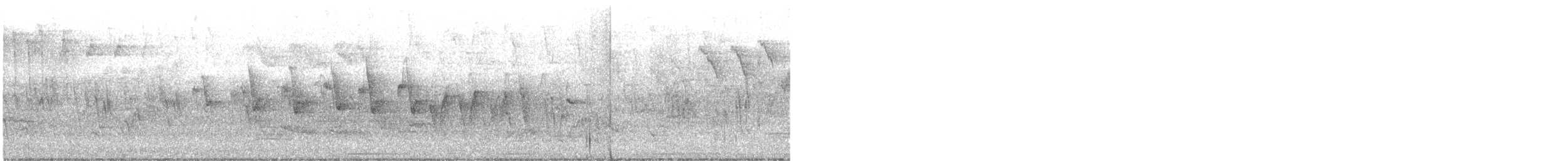 Northern Waterthrush - ML635994882