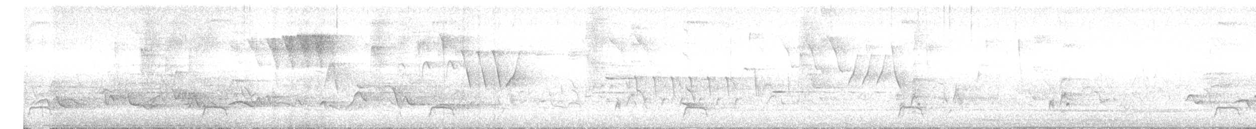 Yellow Warbler (Northern) - ML635996246