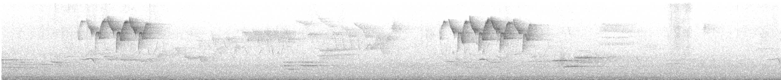 Black-and-white Warbler - ML635997714